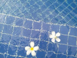 De Palm Poolvilla Phuket - Ban Chin Tham Mai - 7