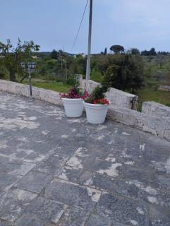 I Trulli di Nonna Cosima - Santa Lucia - 8