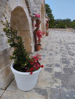 I Trulli di Nonna Cosima - Santa Lucia - 7