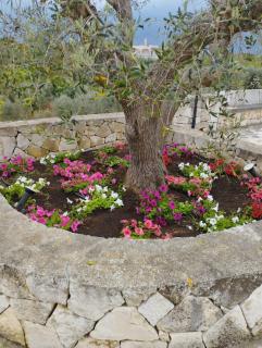 I Trulli di Nonna Cosima - Santa Lucia - 2