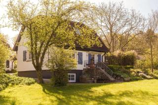 Teichrose - Boren - 6