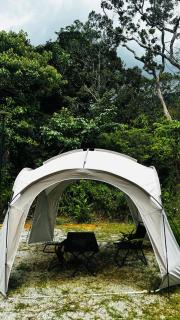 OYO 91157 Jerai Nature Glamping - - 2