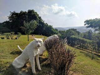 Chui House, Vipingo Ridge - Mombassa - 9