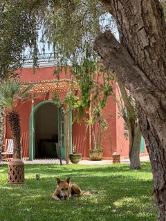 Maison chaliya bohochic guesthouse - Marrakech - 3