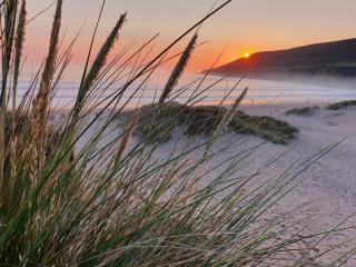 Seashells - Croyde - 7