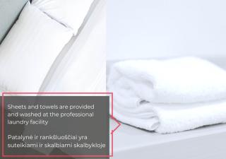 Villa Diplomatica I High Ceilings I Parking I Easy Check-in I Cohost - Kaunas - 5