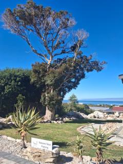 Nature's Nest - Bettyʼs Bay - 7