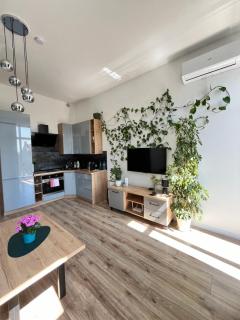 Apartament Green Loft Centrum - Grudziądz - 6