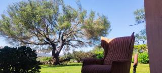 Apartment with garden - San Pantaleo - 4