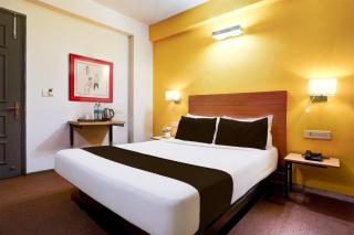 Hotel Aerotech Near Delhi Airport - New Delhi - 4