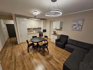 Ana Residence - Timişoara - 0