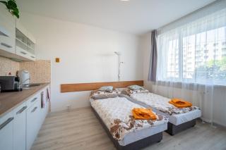 Cozy Studio Apartment - Bratislava - 3