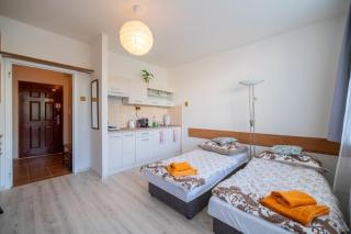 Cozy Studio Apartment - Bratislava - 1