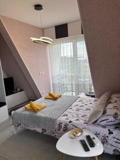 Apartman-Diva-Vukovic - Divčibare - 8