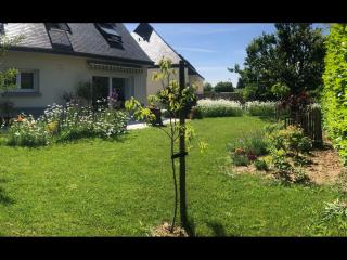 Chambre d'hôte "Les Roses de Séné" - Séné - 8