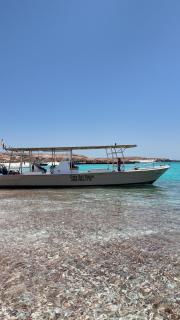 Dive Art Oman - Ma‘ābīlah - 4