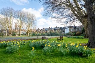 The Plush Putney Apartment - 2 Bed - 2 Bath - Ground Floor Apt - London - 6