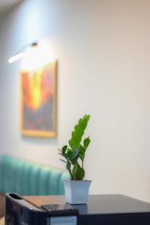 The Starlit Stays-Modern Studio - 6