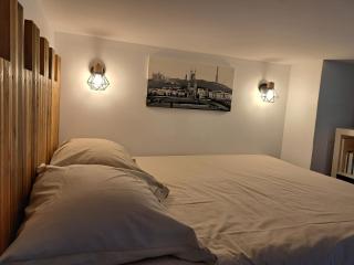 Studio cosy entièrement rénové à deux pas de Lyon - 4