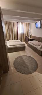 Bach Hotel - Porta Westfalica - 8