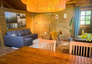 Lodge De ijsvogel bij Bolmeer Lodges - Zevenhuizen - 8