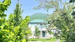 Gabala Paradise Mountain View & Pool - Qəbələ - 3