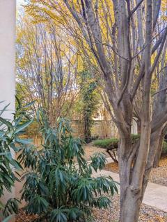 Quiet Intramuros Studio in Secure Residence - Avignon - 1