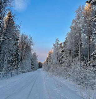 Traditional Lapland 2BR House with Private sauna - 4