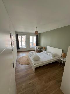 Chambres 20m2, SDB PV, Centre, WIFI, Appart 160m2 - Tourcoing - 0