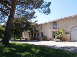 La ferme de montplaisir - Montesquieu-Volvestre - 8