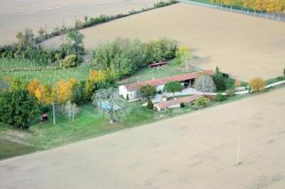 La ferme de montplaisir - Montesquieu-Volvestre - 6