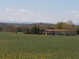 La ferme de montplaisir - Montesquieu-Volvestre - 3