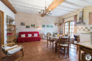 La ferme de montplaisir - Montesquieu-Volvestre - 2