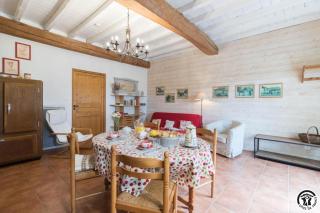La ferme de montplaisir - Montesquieu-Volvestre - 1