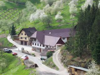 Ferienwohnung Schneckenhus - Lautenbach - 6