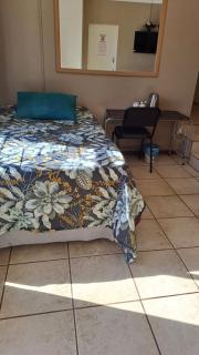 Forget me Not Lydenburg - Lydenburg - 8