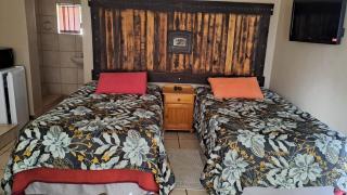 Forget me Not Lydenburg - Lydenburg - 4