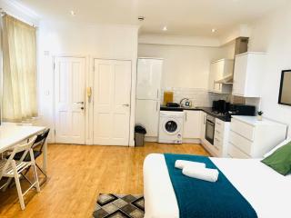Excellent studio flat in good Location - 2