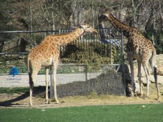 Studio Bleu Riviera - Évasion en bord de mer - 7