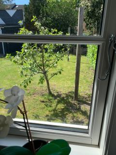 H C Andersen city apartment - Odense - 8