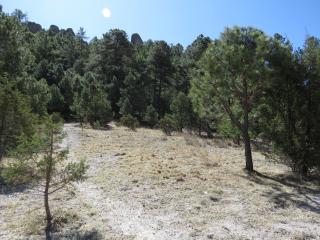 Hotel Ecológico Temazcal - 0