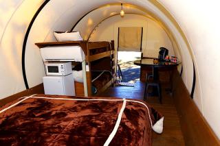 Four-Person Conestoga Wagons for Glamping Getaway near Yosemite National Park, California - Groveland - 6