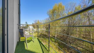 Borcharda, Sun & Snow - 2