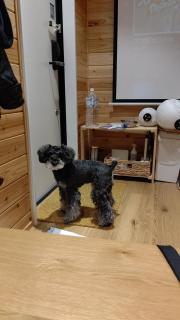 CampBaseKadojin - Vacation STAY 33535v - Tenkawa - 8