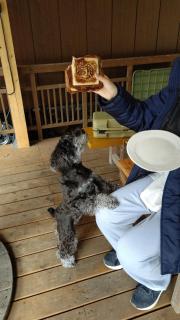 CampBaseKadojin - Vacation STAY 33535v - Tenkawa - 5