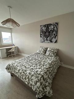 Appartement tout confort à Nancy - Nancy - 8