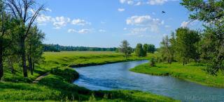 Basement Suite in Calgary - Short Drive to Banff - 5