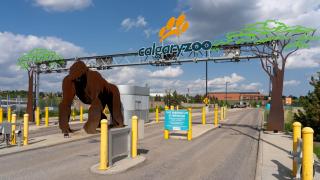 Basement Suite in Calgary - Short Drive to Banff - 3