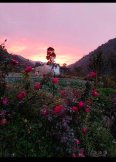 Corbett hill center river home stay - Jāmb - 7
