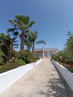 Villa Mele - Lido Marini - 4